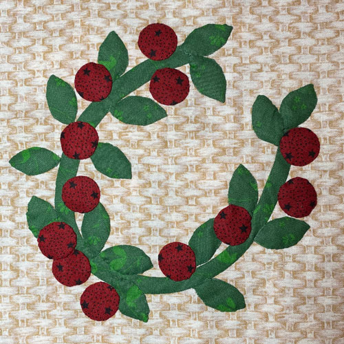 Appliqued block 18